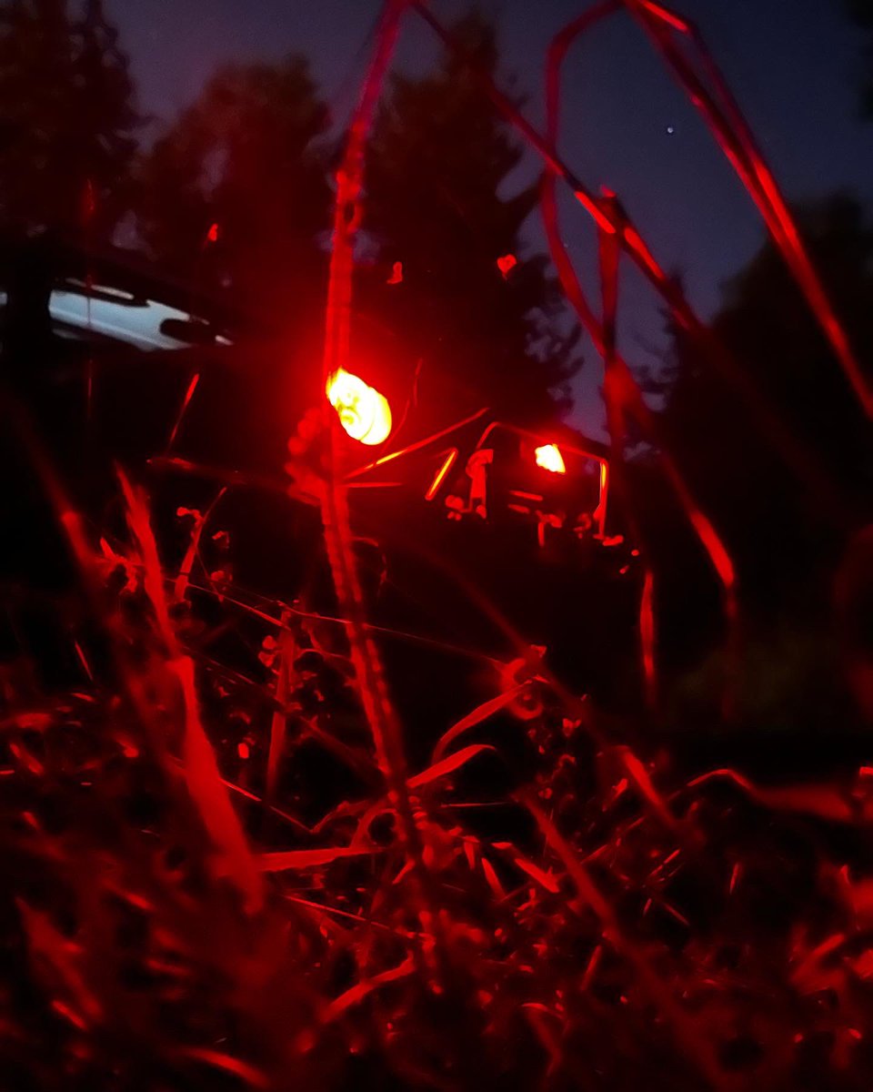DJBrando97's tweet photo. Watch your back you never know what’s lurking in the shadows!!!! https://t.co/yOcx9xmmJi