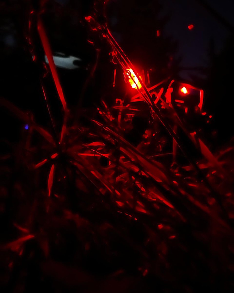 DJBrando97's tweet photo. Watch your back you never know what’s lurking in the shadows!!!! https://t.co/yOcx9xmmJi