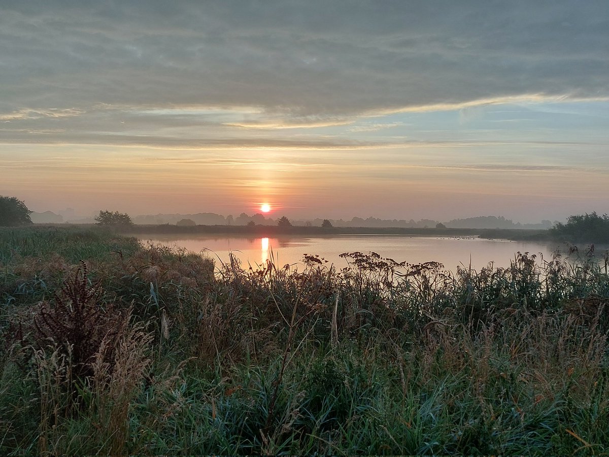 Vanochtend in de Onlanden Roderwolde 😍 #opfietse