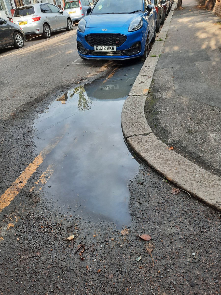 mrstinsleys's tweet photo. @wfcouncil we're still waiting, stench is vile. Reported 6 days ago, Sewage and rain drain overflowing. Thames Water said they can't do it as its an LBWF job. A health hazard being ignored. https://t.co/2DAUQwutUS