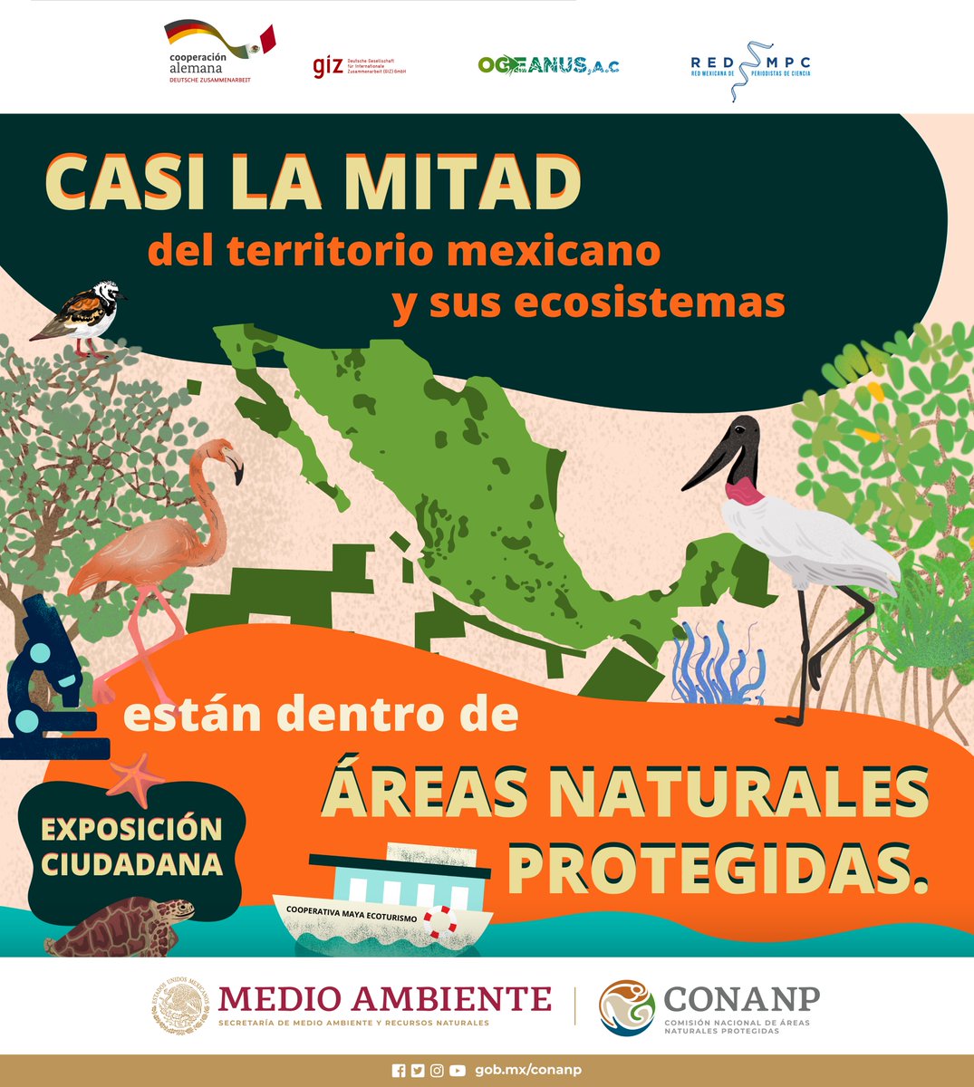 DRPYyCM_Conanp's tweet photo. "México es uno de los países con mayor riqueza natural, y más del 50% del territorio se encuentra en un Área Natural Protegida. 

Conoce más en https://t.co/TFzmCGflz2
#ConservarParaVivir #SomosMedioAmbiente #TodosSomosCaribeMexicano
#exposicionciudadana https://t.co/tXKkU0UvZl
