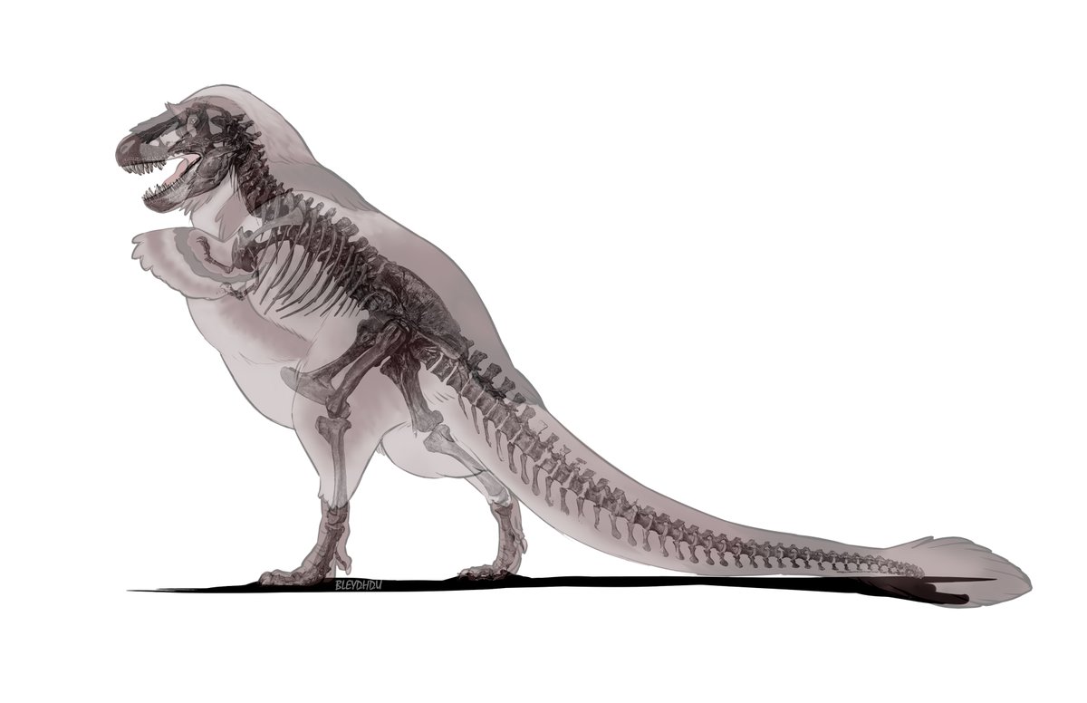 BleydhDu's tweet photo. yes I had to do a t rex https://t.co/jQwtAPnaVL