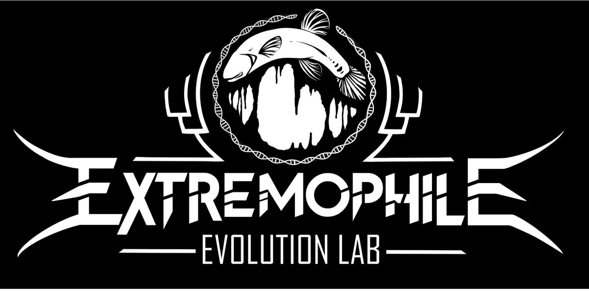 ihartcaves's tweet photo. Positions Open! The Extremophile Evolution Lab at @UaDeptBSC @UofAlabama is looking for two grad students and a postdoc for Fall 2023. We study organismal adaptations to extreme environments, particularly in fishes. Full ads on website in Opportunities!
https://t.co/nPmefdQ4ZY https://t.co/rAnFTXm2yk