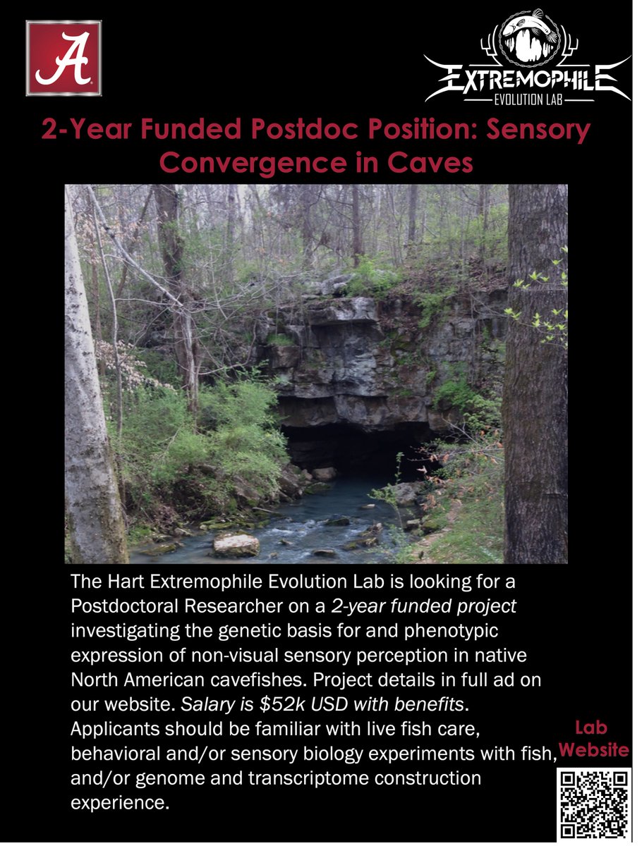 ihartcaves's tweet photo. Positions Open! The Extremophile Evolution Lab at @UaDeptBSC @UofAlabama is looking for two grad students and a postdoc for Fall 2023. We study organismal adaptations to extreme environments, particularly in fishes. Full ads on website in Opportunities!
https://t.co/nPmefdQ4ZY https://t.co/rAnFTXm2yk