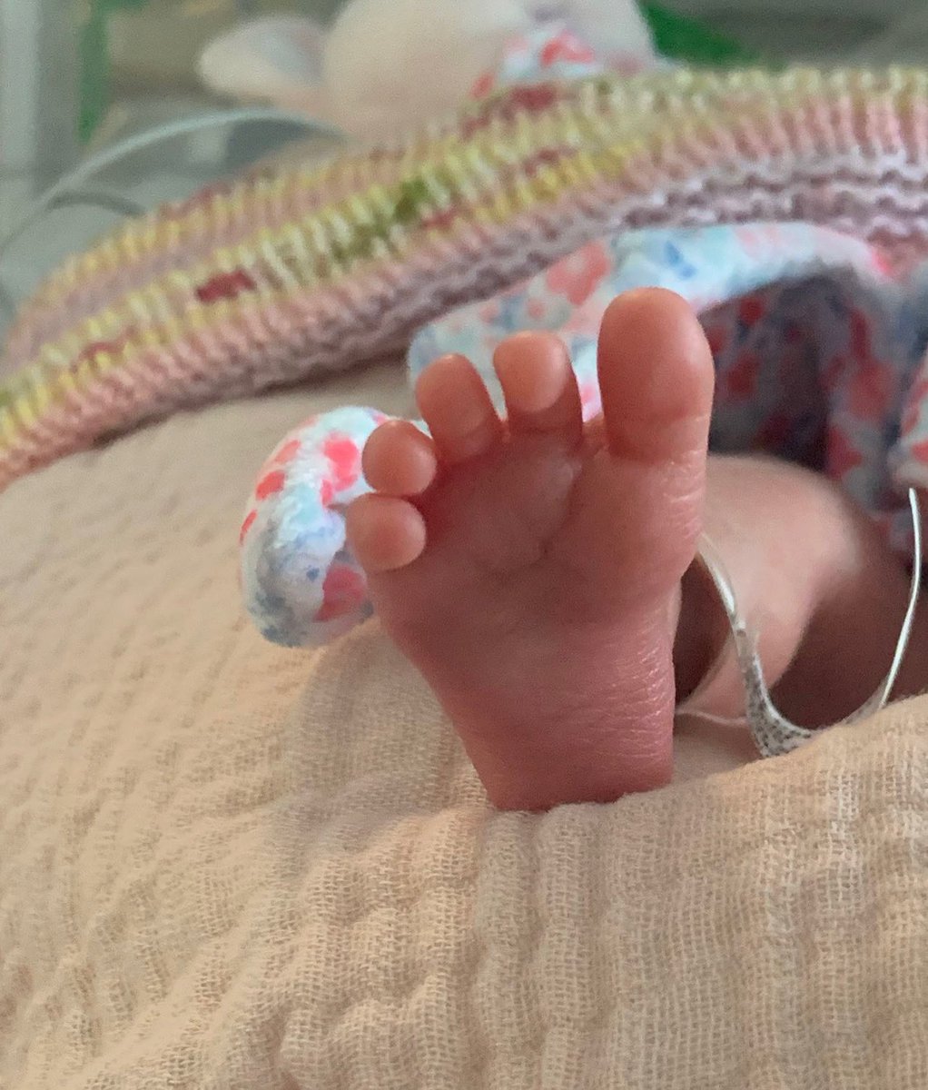 The Old Mill House tweet media