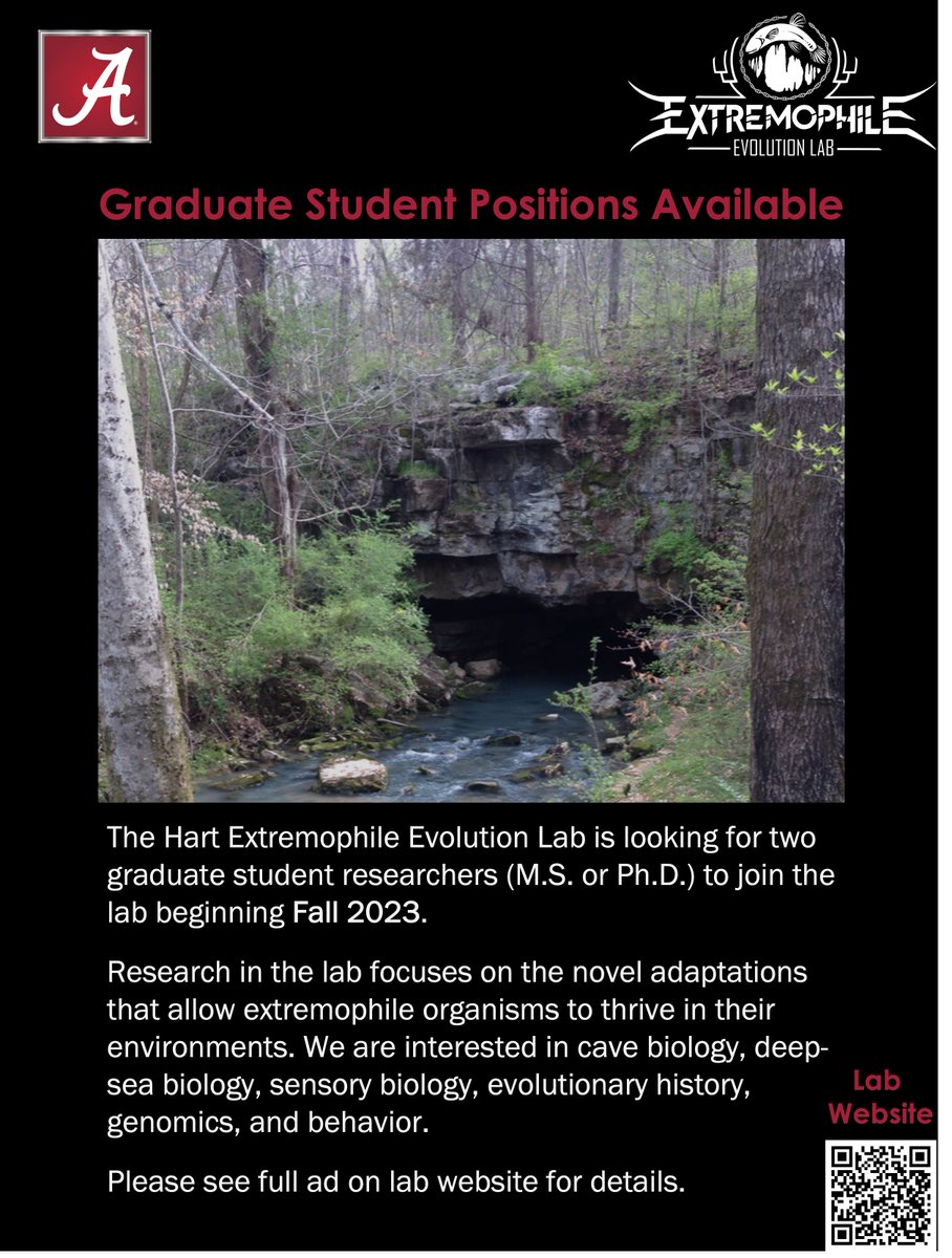 ihartcaves's tweet photo. Positions Open! The Extremophile Evolution Lab at @UaDeptBSC @UofAlabama is looking for two grad students and a postdoc for Fall 2023. We study organismal adaptations to extreme environments, particularly in fishes. Full ads on website in Opportunities!
https://t.co/nPmefdQ4ZY https://t.co/rAnFTXm2yk