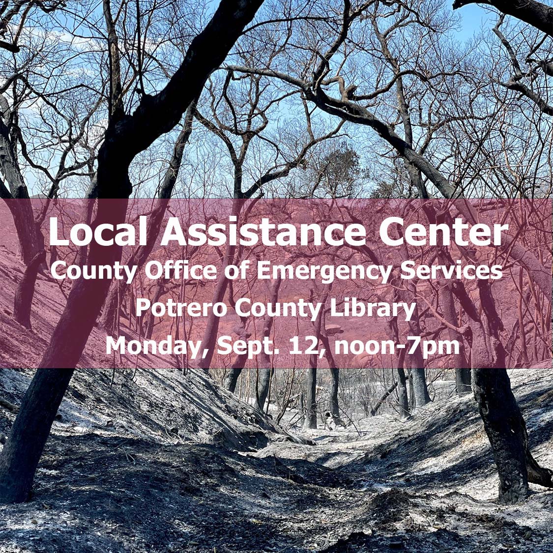 SanDiegoCounty's tweet photo. If you were affected by #Border32Fire, you can get answers and support today (Sept. 12) noon-7p.m. at Potrero Library Branch.

County and State groups will be present for services and resource referrals.

https://t.co/HQ4xKI5Slp https://t.co/yqfkmLlIQi