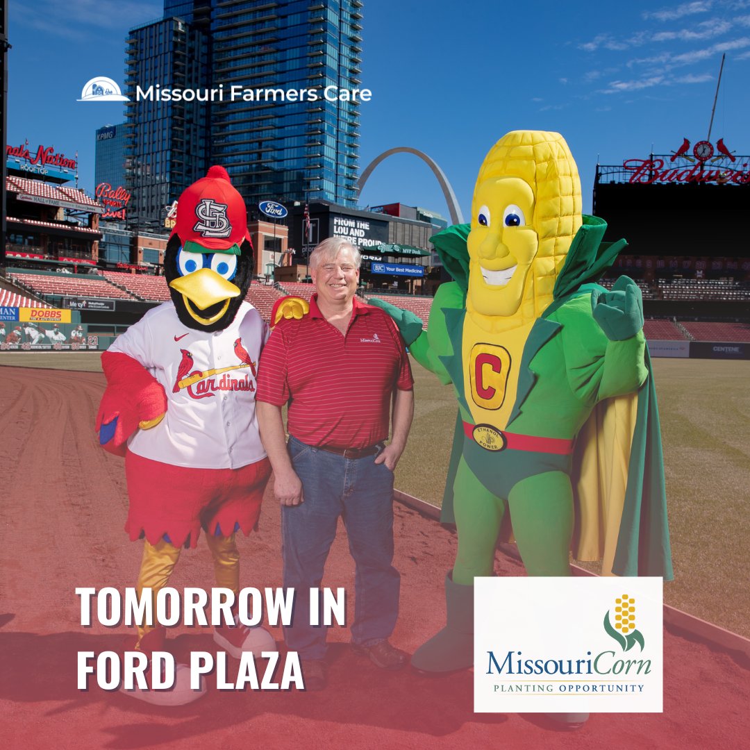 Come meet Captain Cornelius's crew tomorrow! Missouri Corn will be joining us tomorrow night in Ford Plaza before the #STLCards take on the Reds.

#GoFarmTeam | #RacetothePlate | #MoFarmersCare