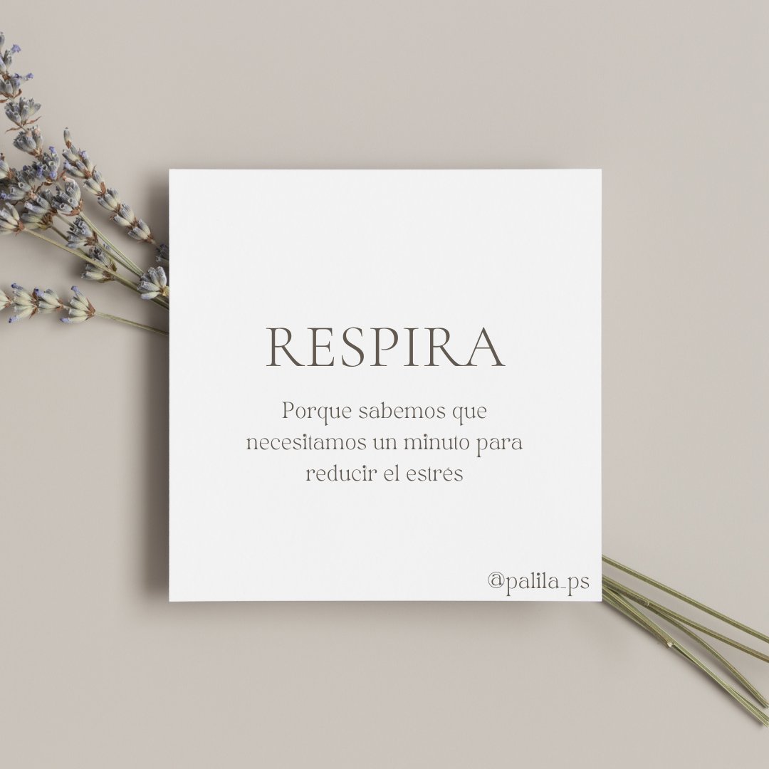 palila_ps's tweet photo. Porque queremos lo mejor para ti. 

Tómate un minuto y respira hondo. 

Este es nuestro consejo del día

#Palila #Relajación #Mindfulness https://t.co/AYWxfGMhZr