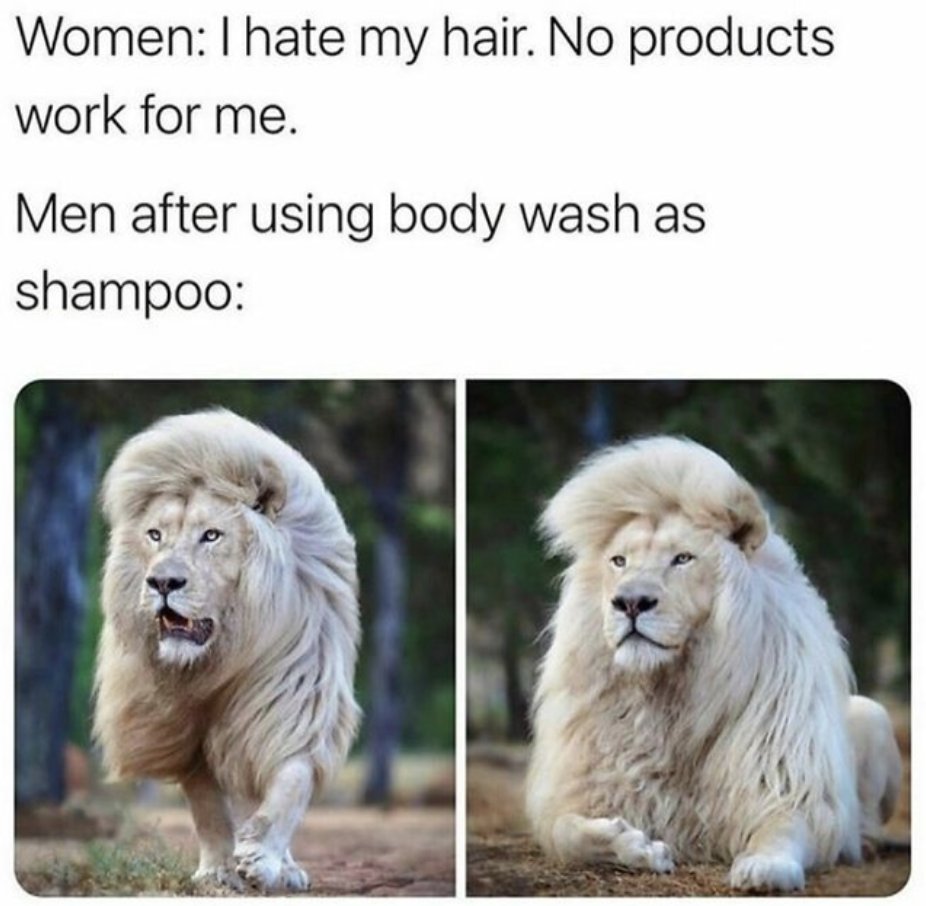 MensHumor's tweet photo. Never underestimate the 17 in 1 body wash https://t.co/b1jGHwf80O