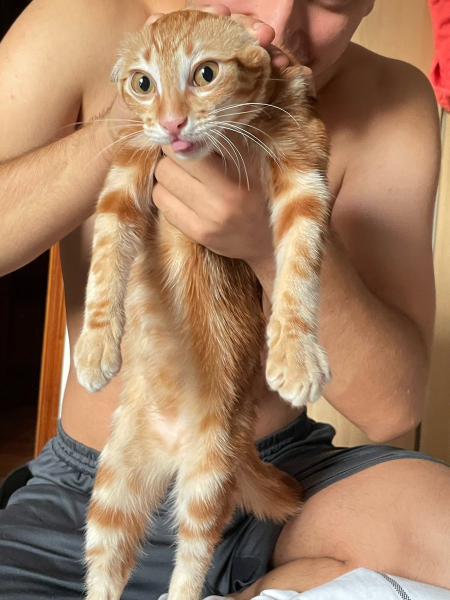 florialexxxe's tweet image. 