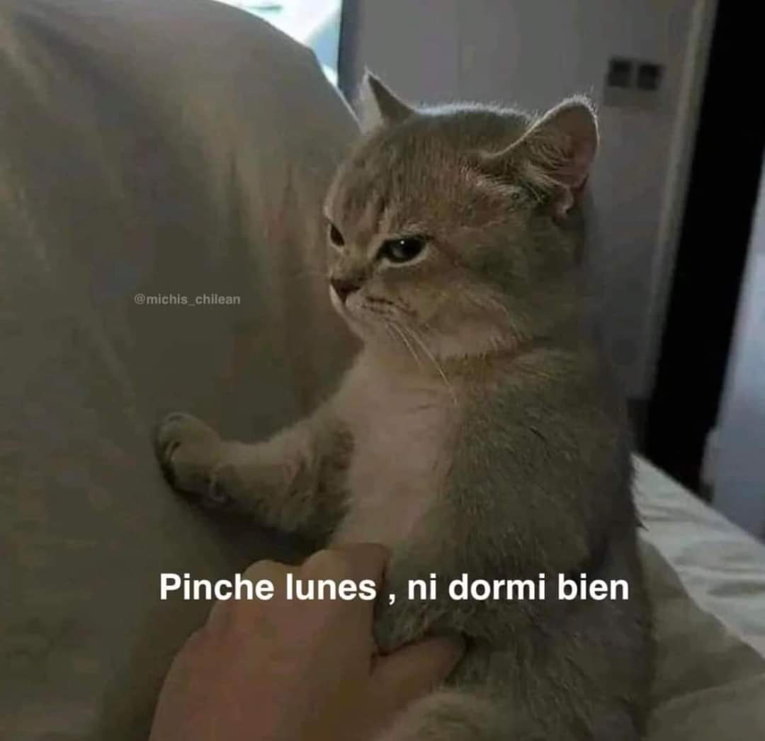 #LunesDeMotivacion