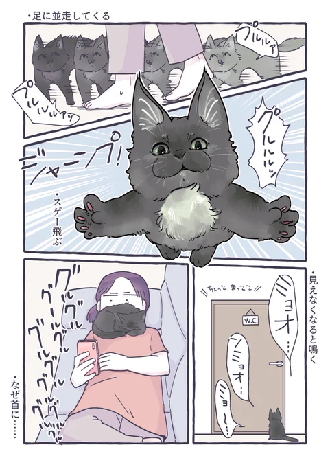 来て1週間 