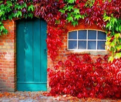 sarahromanovv11's tweet photo. #Falll https://t.co/NXpExSMb2M