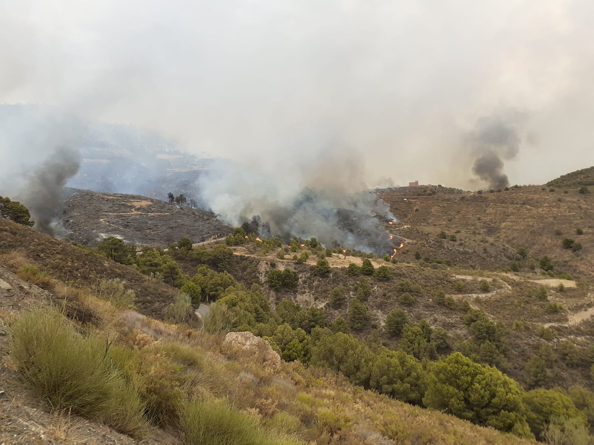🔴 #IFLosGuajares [ACTIVO]  | Pocas variaciones en la situación sobre la zona.  Continúa con la presencia de vientos erráticos, asociados a la tormenta. Nuestros esfuerzos se concentran en las próximidades a la Venta de la Cebada, zona que presenta ahora mayor actividad