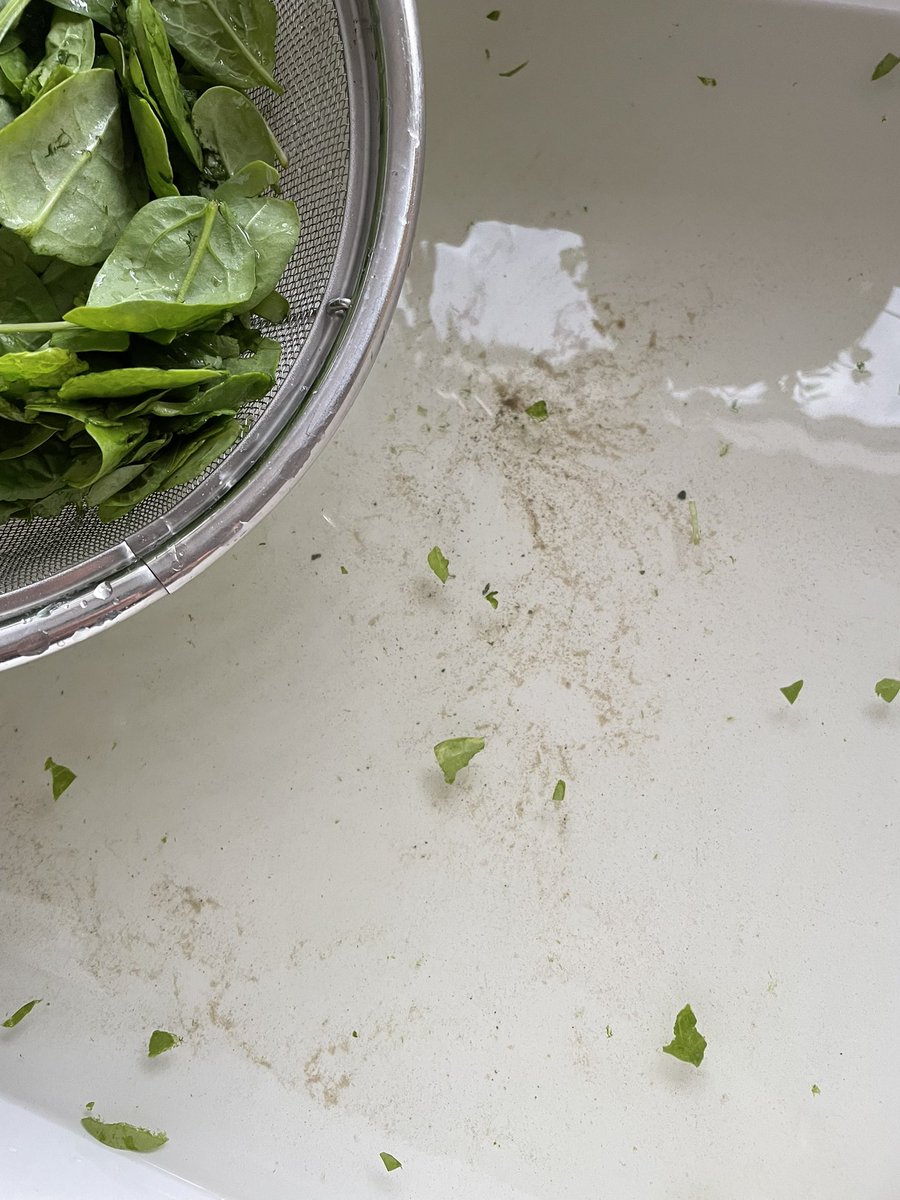 stuartdevoil's tweet photo. I’m not one to moan, but at what point does ‘washed and ready to cook’ mean ‘practically a sandbank in my sink’? Not the first time I’ve had this with @Tesco. We live at the beach. We don’t need additional sand! https://t.co/CQGSj5oYXS