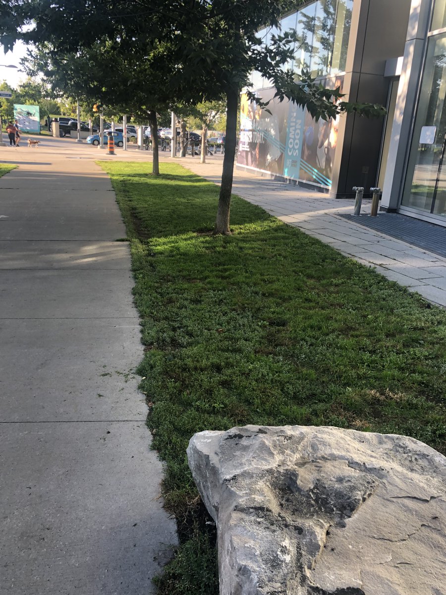 Corktown Common tweet media