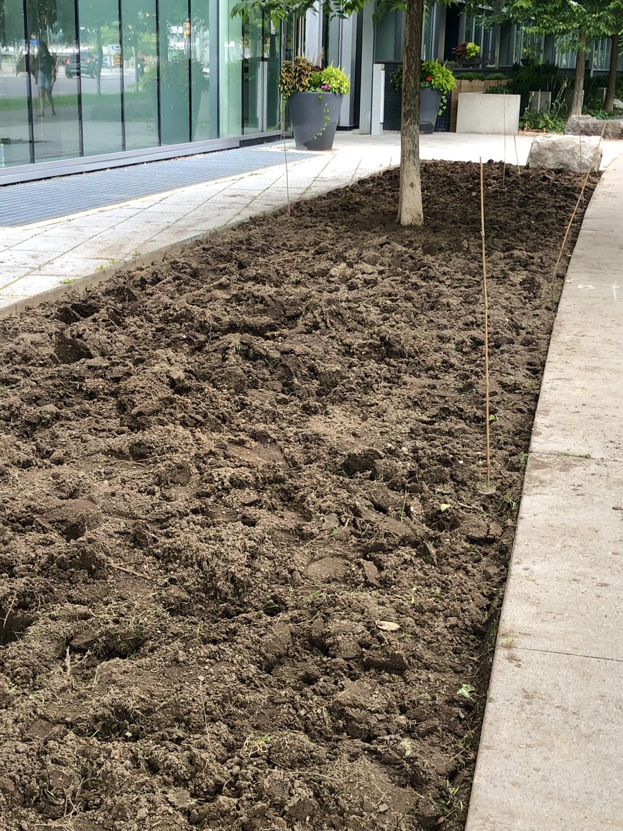 Corktown Common tweet media