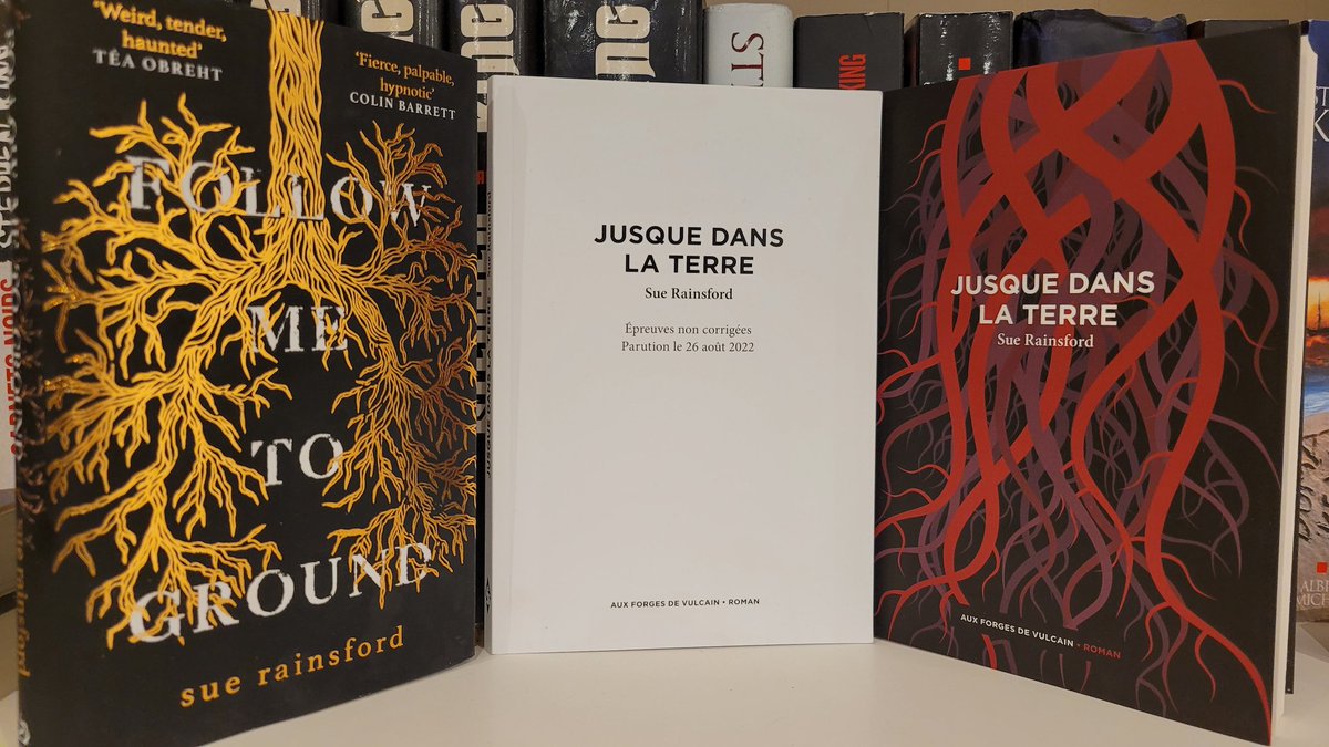GizmoTheGeek's tweet photo. #JusqueDansLaTerre
#FollowMeToGround
Une superbe histoire éditoriale avec @forgesdevulcain 😁😁

Il suffit de voir les booktuber anglophones pour se rendre compte de la hype. 
Et en tant que gros lecteur, je ne peux que vous conseiller ce voyage fantastique 🥰🥰🥰 https://t.co/9LhroSJbUs