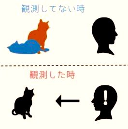 yozo_oba's tweet photo. #somatichypermutation をご存知な知念氏と基礎中の基礎だからご存じな知念氏が重なって存在するコロナ禍。 https://t.co/5Uj2GECb0C