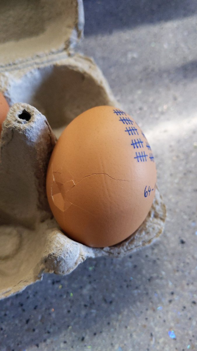 ZigaSkraba's tweet photo. A moment of silence for my #EggBoxing🥊 champion. You were the best 🥹 #RIP https://t.co/LmGWybZLht