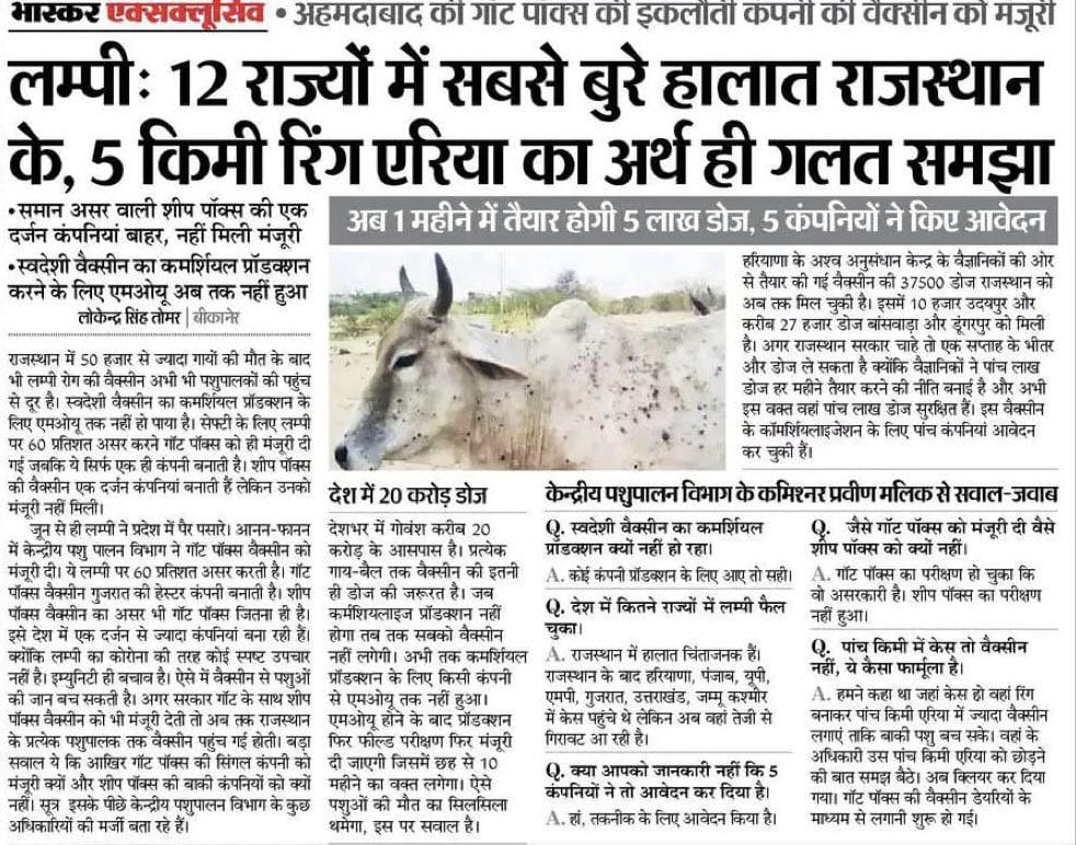 राजस्थान में लाखों गौ माताएँ तड़प तड़प कर अपने प्राणों को त्याग रही है, और हमारे मुख्यमंत्री <a href="/ashokgehlot51/">Ashok Gehlot</a> जी, 'भारत जोड़ों यात्रा' में आलाकमान को खुश करने में व्यस्त हैं। 

#Rajasthan