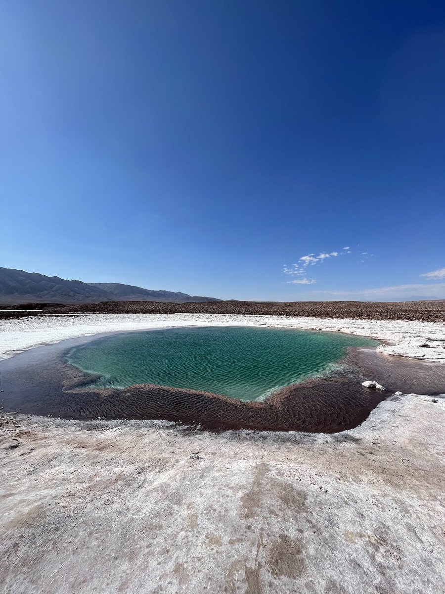 milachannn's tweet photo. In der Laguna Baltinache ist der Salzgehalt so hoch, dass man dort aufgetrieben wird. Zwar ist das für den Moment echt schön, im Nachhinein ist der ganze Körper jedoch von Salz überstreut. 🧂🥨 #studierenweltweit https://t.co/ec5AuPm22f