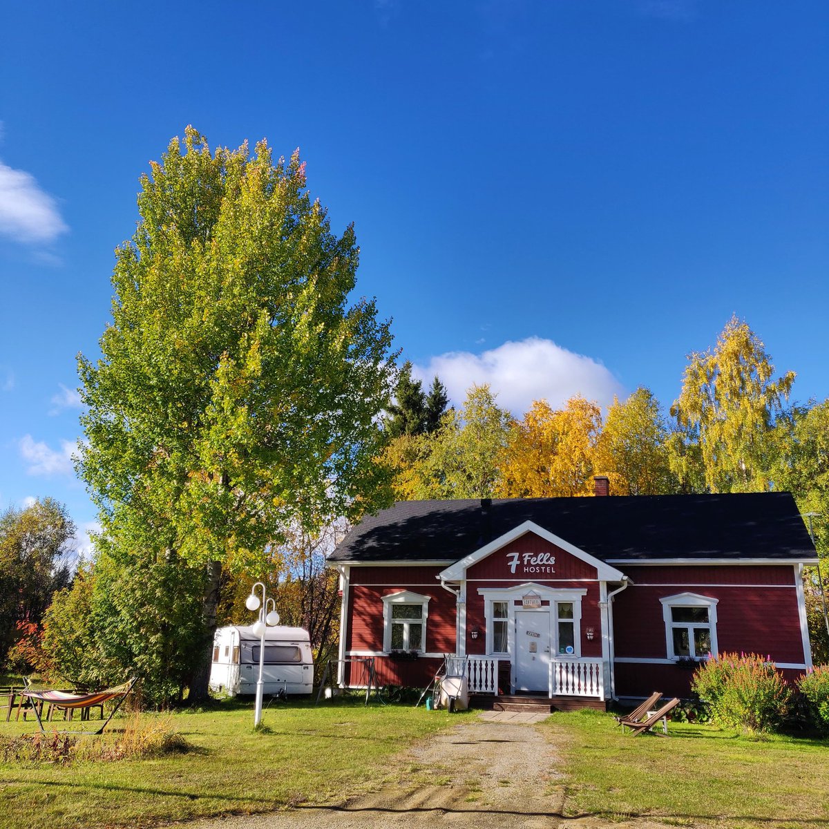 It's ruska season! 🍂☀️