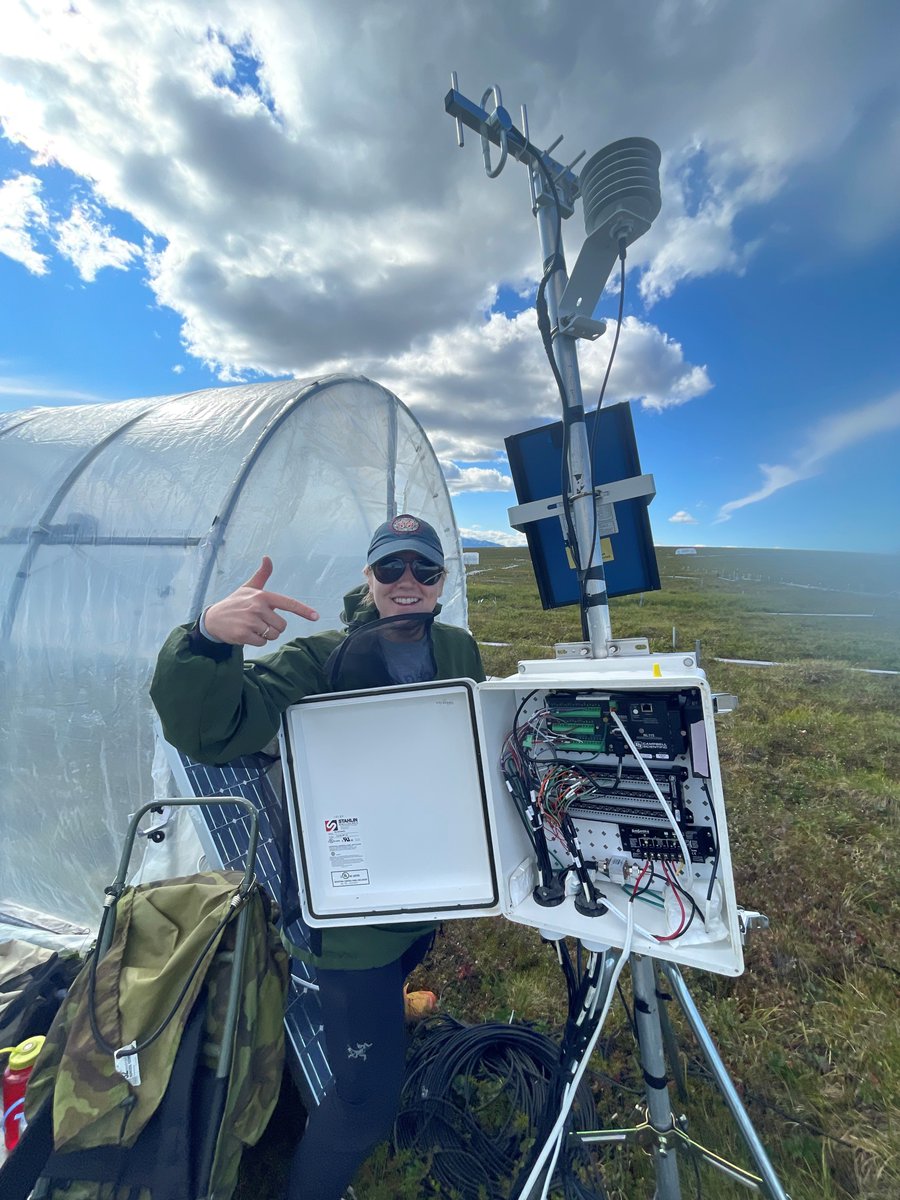 MBL Undergrads tweet media