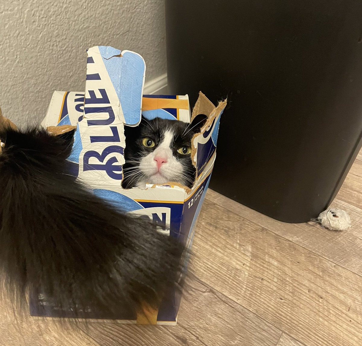 weirdlilguys's tweet photo. please, step into my office https://t.co/TxXiokKXCr