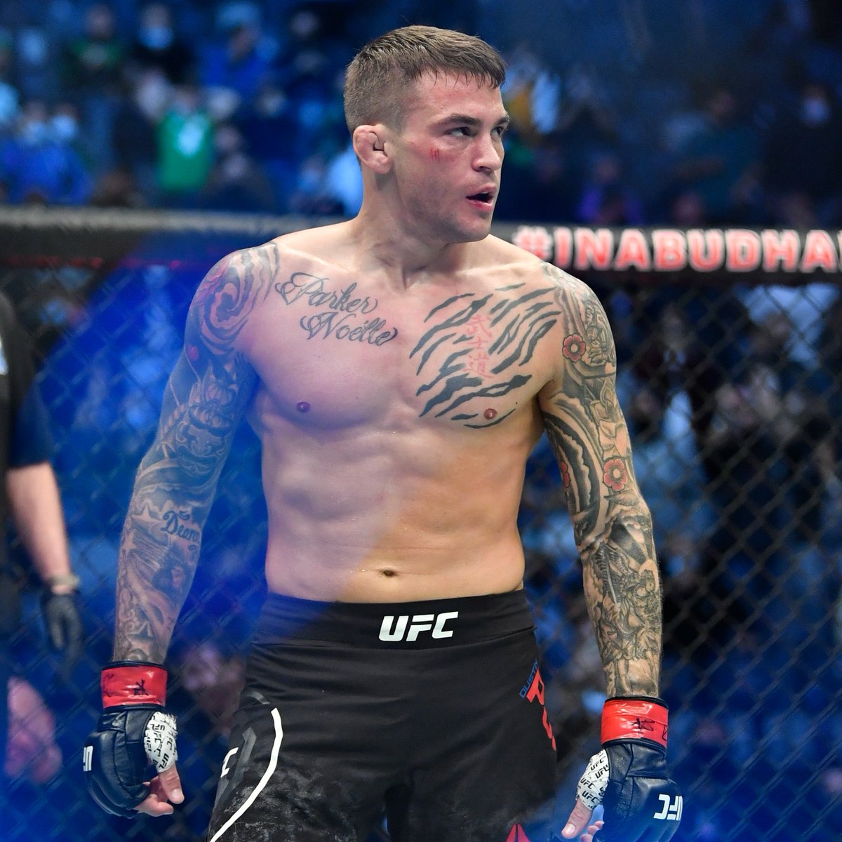 ufc's tweet photo. 🚨IN CASE YOU MISSED IT🚨

The highly anticipated @DustinPoirier &amp; @MikeChandlerMMA bout is confirmed for #UFC281! 

[ Nov 12 | @TheGarden | https://t.co/IRCmP19pQT ] https://t.co/dAWsBa40sz