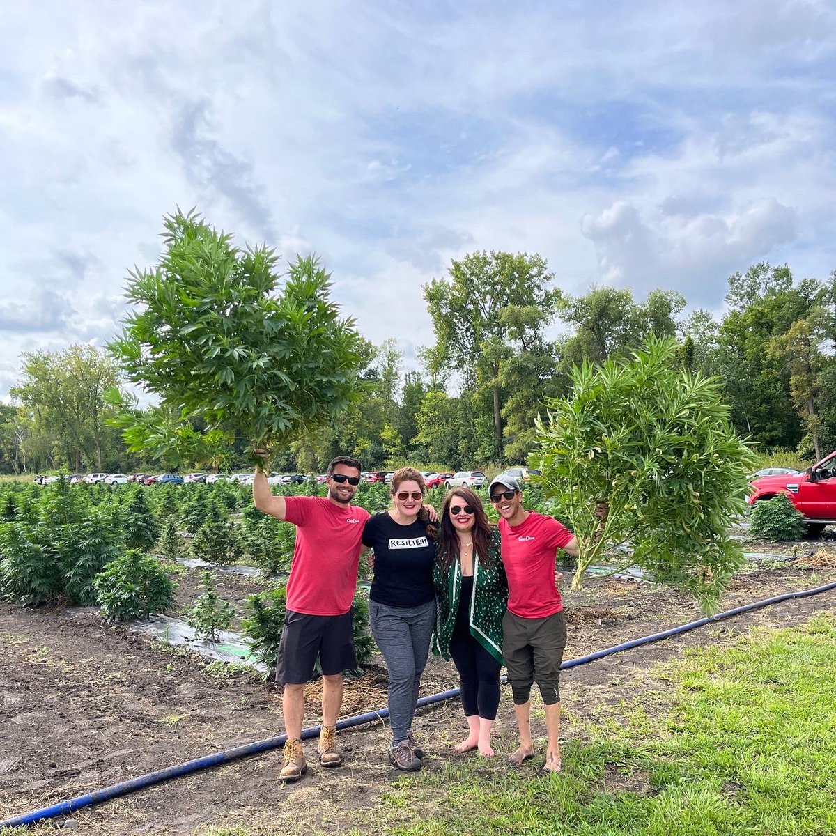 RedMoodMktg's tweet photo. We had a great time at Carpe Diem’s Harvest Gathering on Saturday!
.
.
.
#CarpeDiem #CBD #CBDHealthBenefits #CBDProducts  #CBDWellness #MNGrown #CBDLIfe #CBDHealth #SupportLocal #Hemp #HempLife #SeedToShelf #PublicRelations #PR https://t.co/sOOQYgeBVI