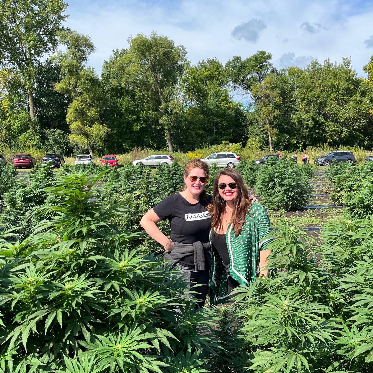 RedMoodMktg's tweet photo. Congratulations, Ben, Neil &amp; your entire #CarpeDiem team on your success. The love &amp; care you put into each step of the #SeedToShelf process is evident in the quality &amp; effectives of your #CBD products.

For more info about their #CBDProducts go to https://t.co/VDRuQxOT3J https://t.co/mr3R2OC17F