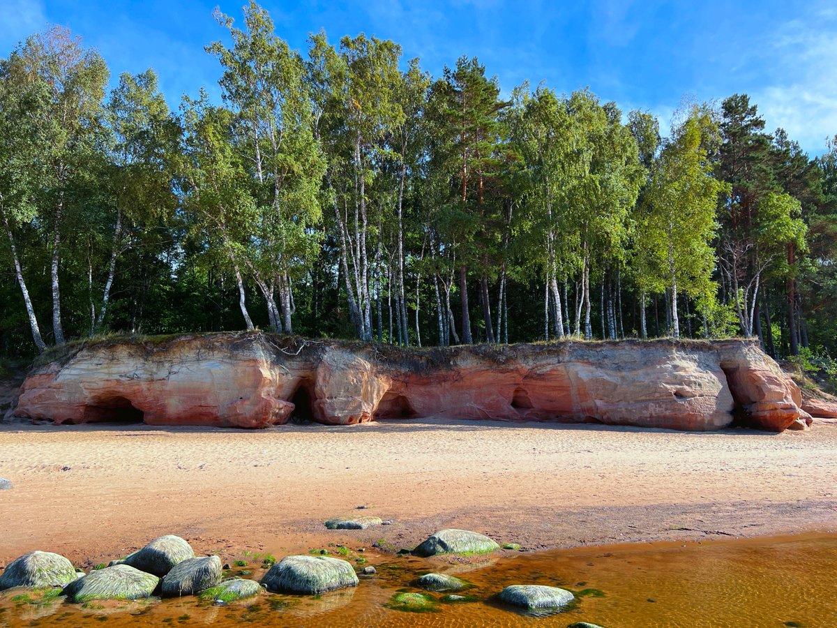 Gints_photo's tweet photo. Veczemju klintis #veczemjuklintis #photography #latvia #lv #landscape #latvianature #baltic #visitlatvia #visitbaltic #travel #nature  
@MeteoLatvia @LVGMC_Meteo @laikpstakli @meteolapa https://t.co/CErsl3ueQs