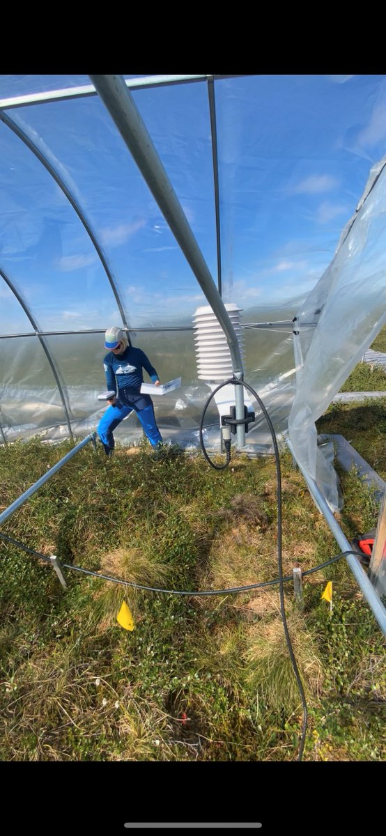 MBL Undergrads tweet media