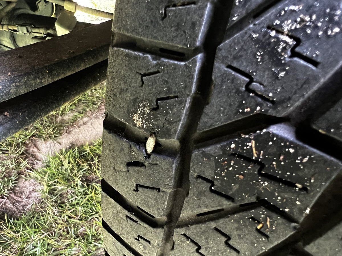 Nail #5 for the summer 🙄 this is getting ridiculous!