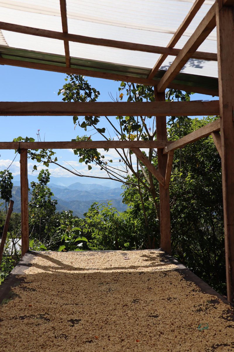 Le prix du #cafe augmente. Dans notre article nous vous éclairons sur les raisons de la hausse et vous donnons notre position en tant que #pme et #entrepriseamission. 
Comment rester alignés dans l'adversité ?
#lobodis #transparence #inflation #engagement
blog.lobodis.com/article/le-pri…