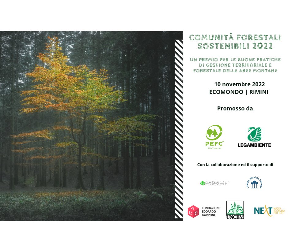 🆕 #PEFCItalia e <a href="/Legambiente/">Legambiente</a> annunciano l’apertura delle candidature per l’edizione 2022 del Premio “Comunità Forestali Sostenibili”. Per candidarsi c'è tempo fino al 23 ottobre 2022!
📌 Scopri di più nell'approfondimento dedicato! 👇
pefc.it/news/aperto-il…