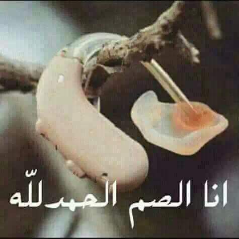 ObtmanYaagoub's tweet photo. https://t.co/GyKbqn3fb6