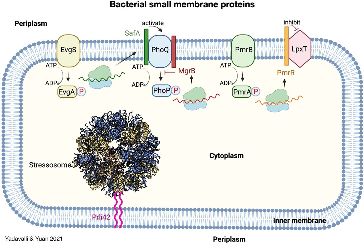 Waksman Institute, Rutgers University tweet media