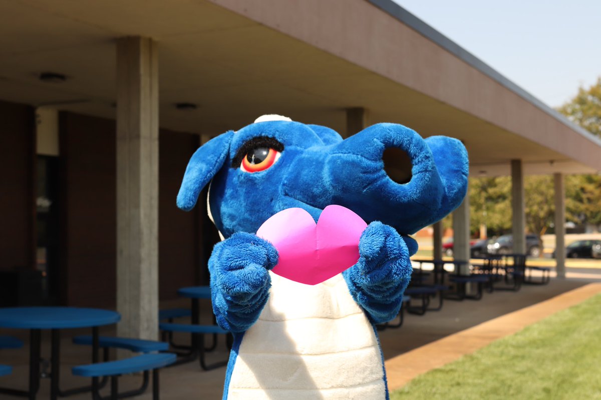 💙Welcome to the Halstead High School twitter account for positivity spreading news!!We want to spread dragon cheer for everyone to hear!💙#440Proud 🔥