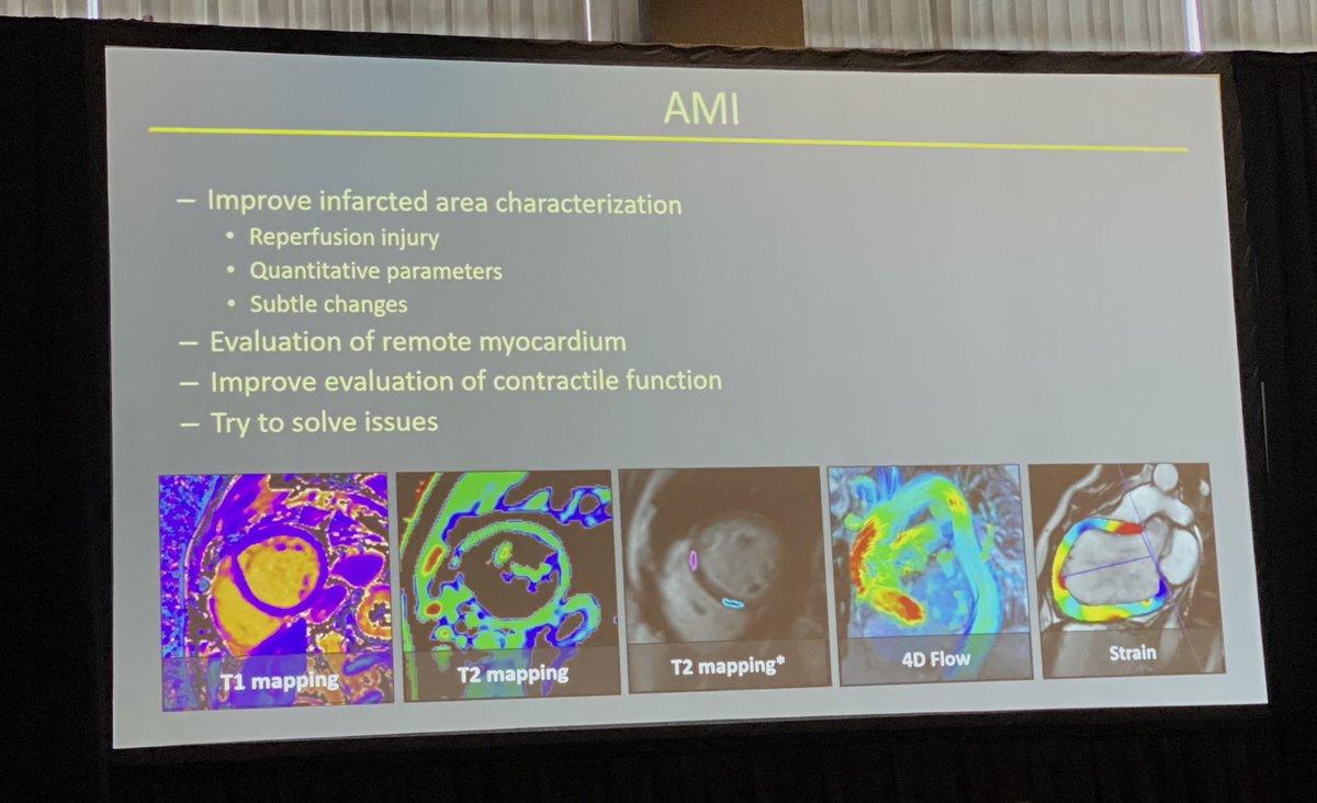 Learning  the ins &amp; outs of parametric mapping &amp; 4D flow w/ ischemic cardiomyopathy as presented by Dr Jose Gutierrez 👏🤩 #NASCI22