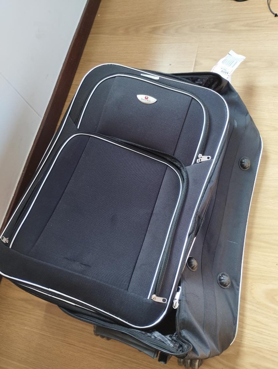 Sia Shells tweet media