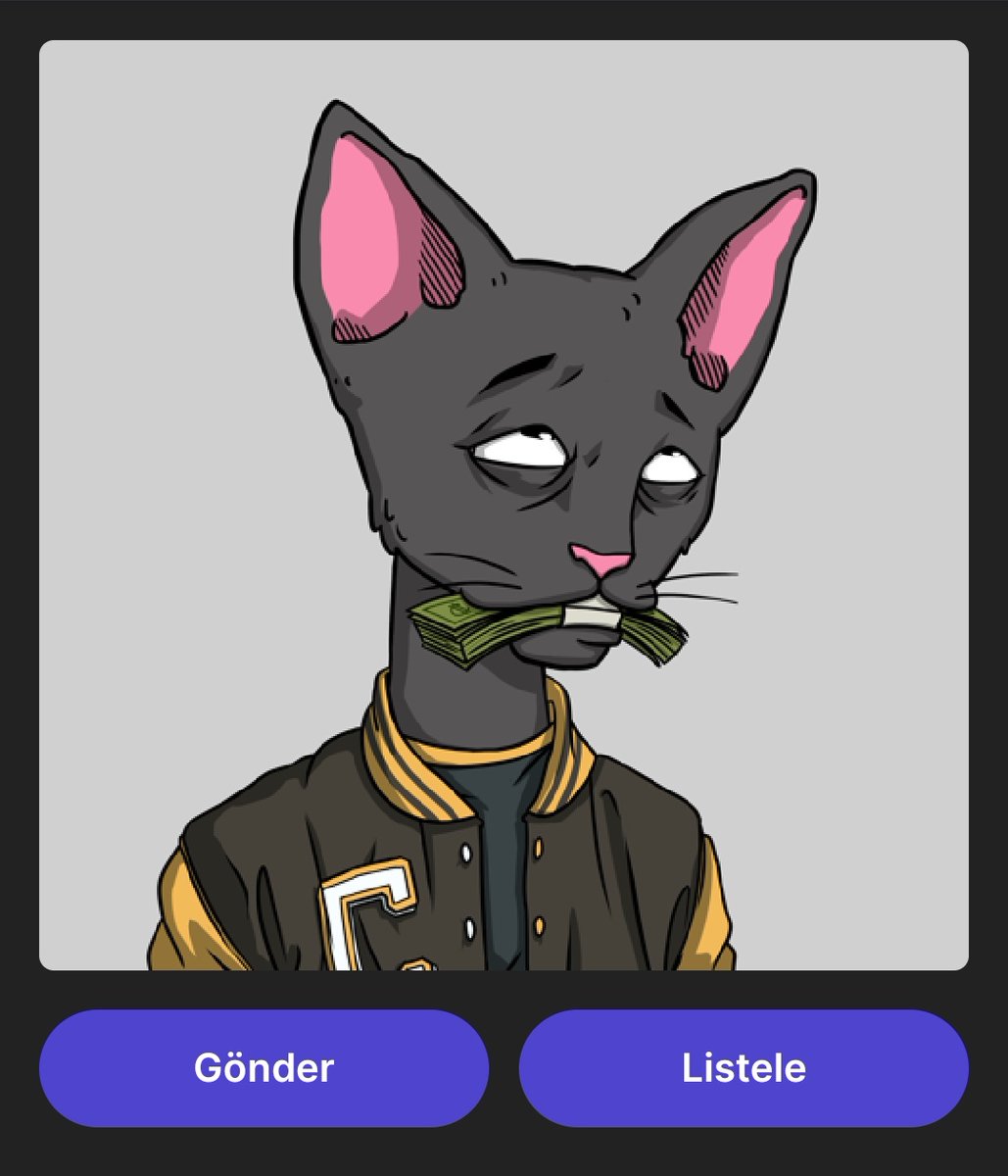 #nftart #cetsoncreck New BILDIRCIN 💯🐈‍⬛