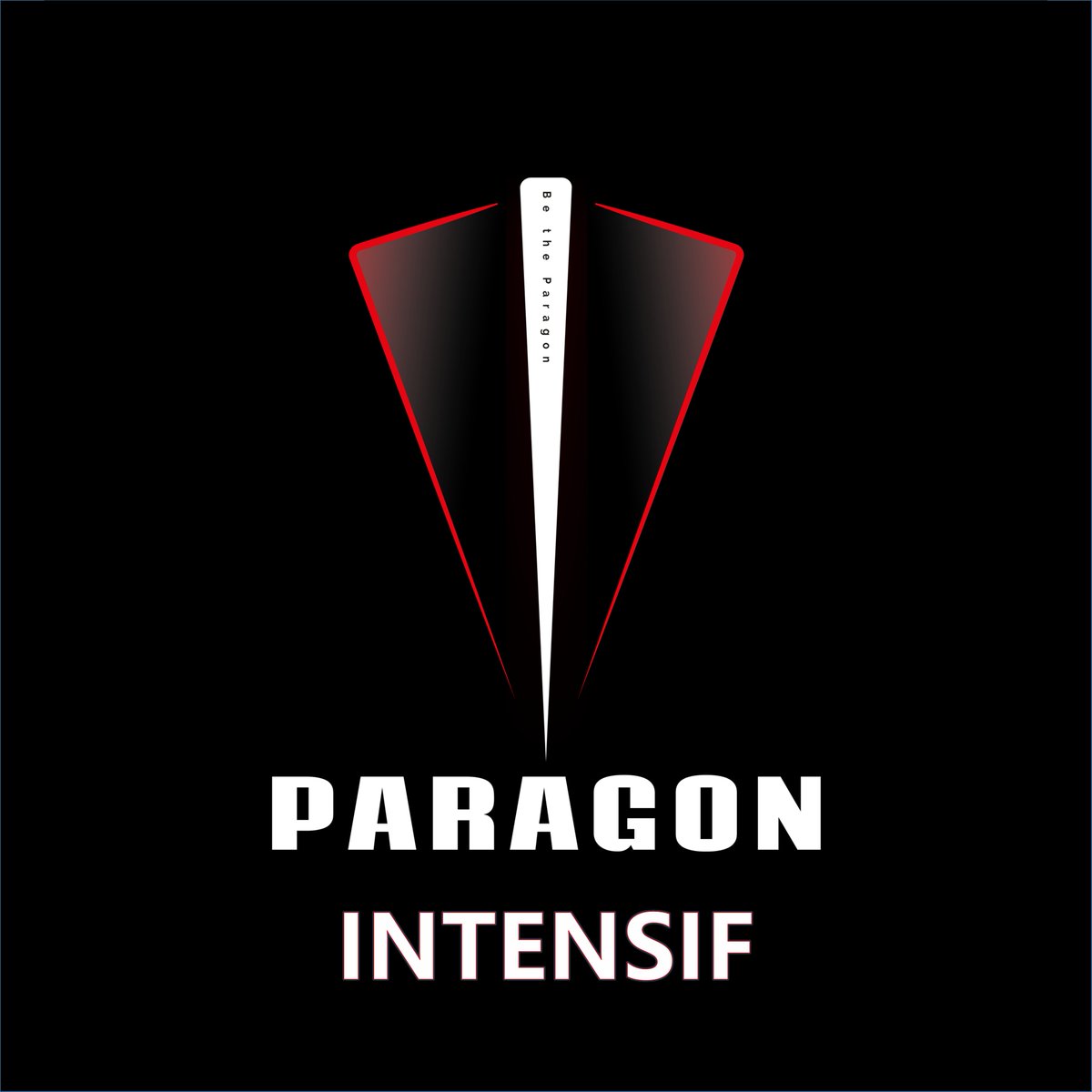 PARAGON INTENSIF, c'est quoi ?

lire thread ...