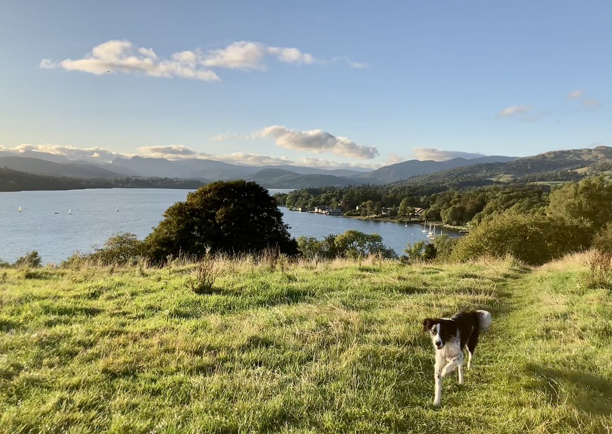 igwoods's tweet photo. Loved being in the Cairngorms for four days at the @KeswickMin Cairngorm Convention. Home now. Always good to get home 👇🐾 https://t.co/Ia8N1AuomX