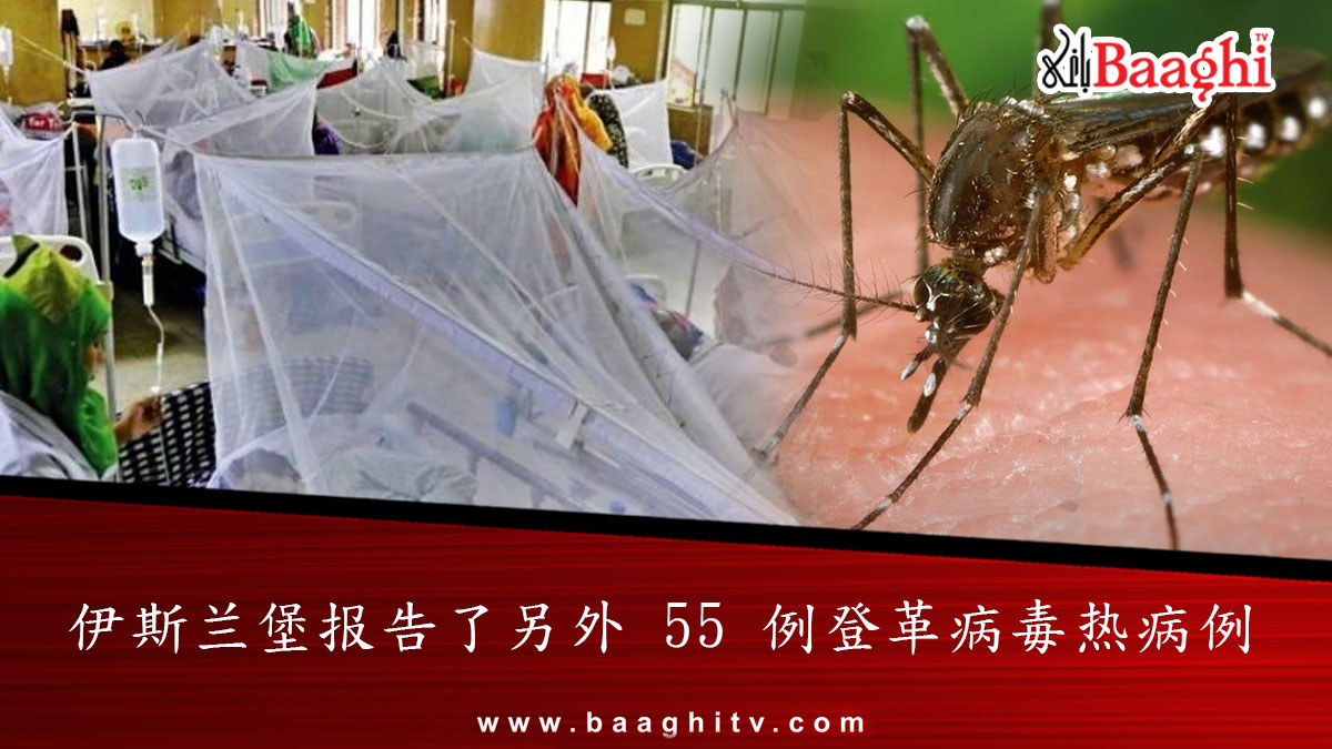 伊斯兰堡报告了另外 55 例登革病毒热病例

cn.baaghitv.com/?p=67993

#BaaghiTV #Islamabad #virus #denguevirus #newcases