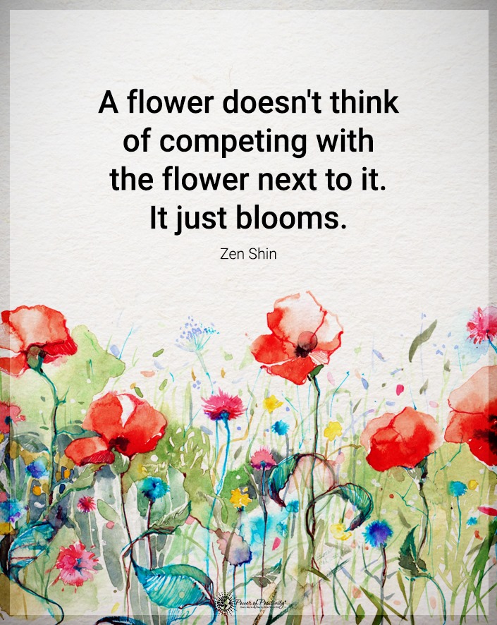 The Mindfulness Meditation Institute (@trainingmindful) on Twitter photo 