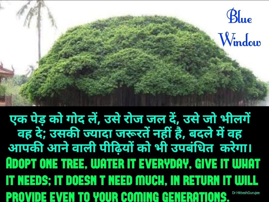 VidhyaaAes's tweet photo. #BlueWindow #Meditation #nature #Yoga #save #savesoil #savenature #India #savetheplanet #VidhyaaNGO #HitteshGurujee #savetheworld #savetheocean #saveourplanet #savewater #savewildlife #createemployment nature https://t.co/yuWa43KNDB