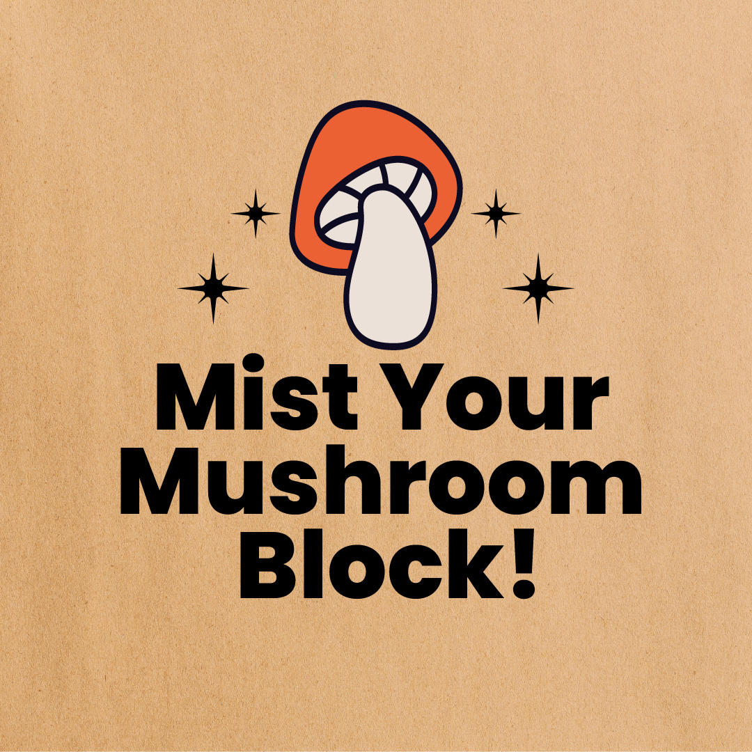 happycaps_hfx's tweet photo. Psst. Mist Your Block. #MistMonday
#MistMonday #MushroomMonday #HappyCapsHfx #ShopLocal #HomeGrown #Mushrooms #MushroomKit #Mycelium #Forage #HomeGrown https://t.co/KWjegUnKOm